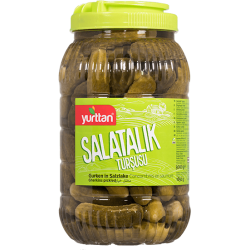 Pickled vegetables - pickle - Yurttan 3000g